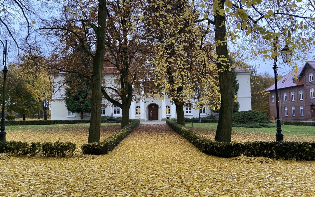 Międzynarodowy Dzień Krajobrazu