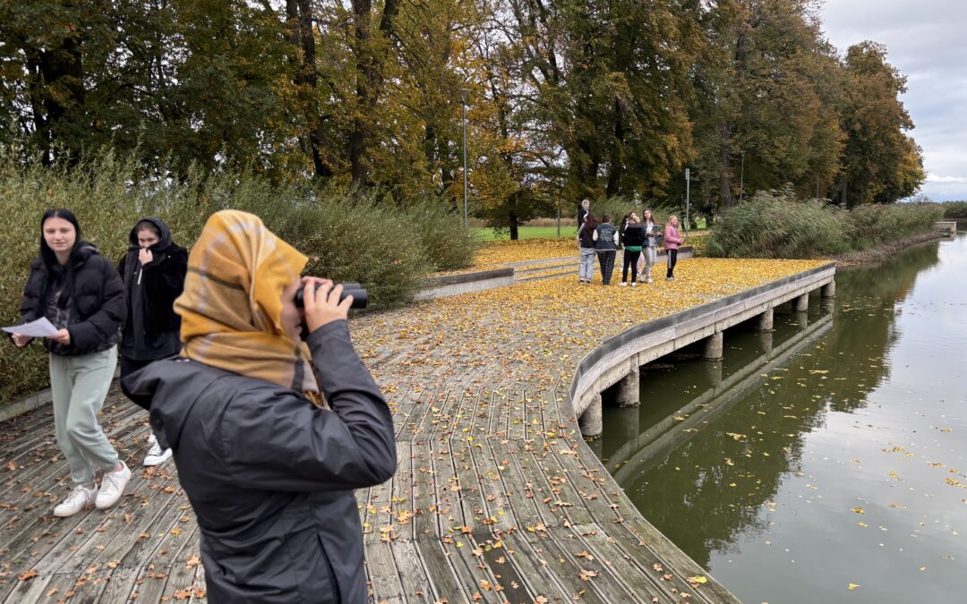 Udział koła przyrodniczo-krajoznawczego w Europejskich Dniach Ptaków